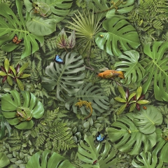 PVC Moonlight Eldorado