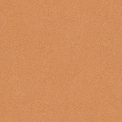 Zátěžové PVC Xtreme Mira 330M